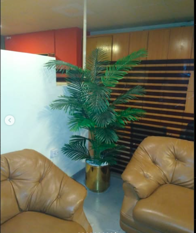 Artificial Areca Palm Plant