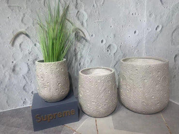 Imported Planters 