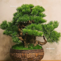 Premium Bonsai Tree – 24 Inch Tall | Decorative Indoor Plant for Home & Office