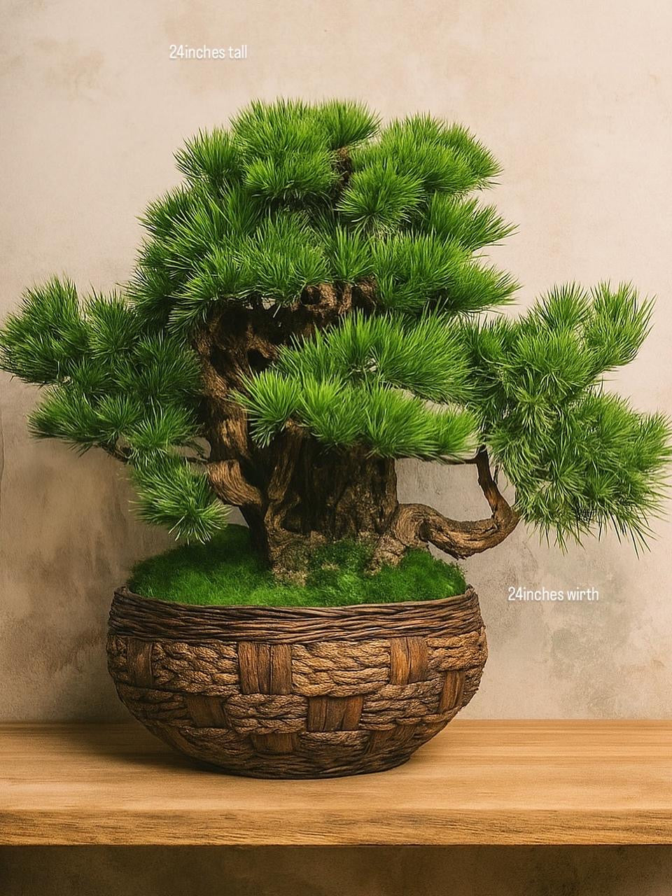 Imperial Evergreen Pine Bonsai – Large Woven Basket Edition