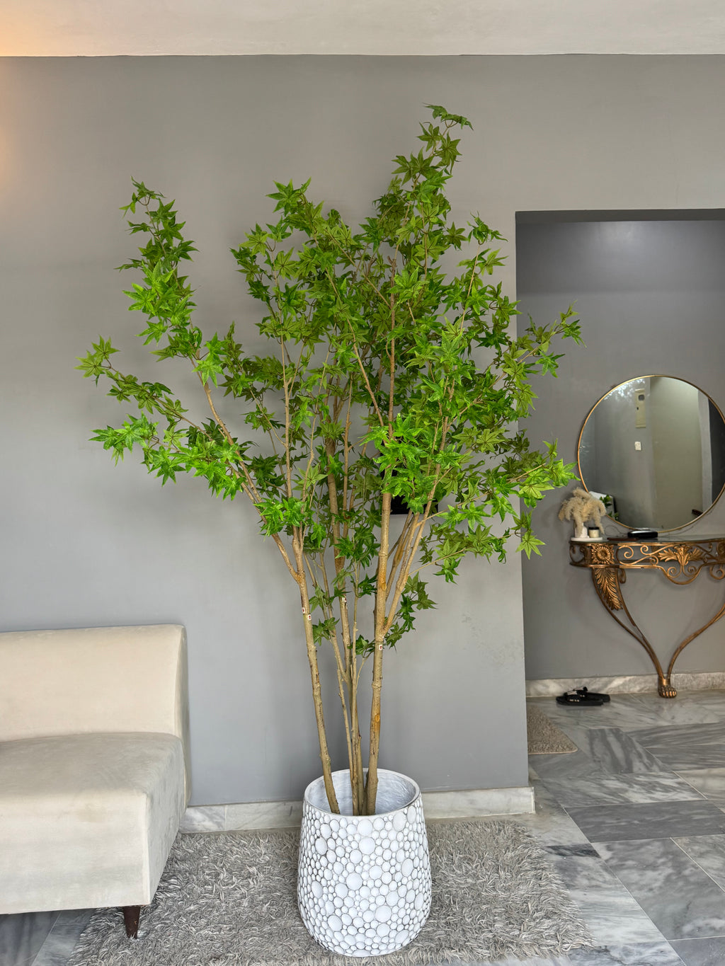 Luxury Maple Corner Tree with Ivory Vase