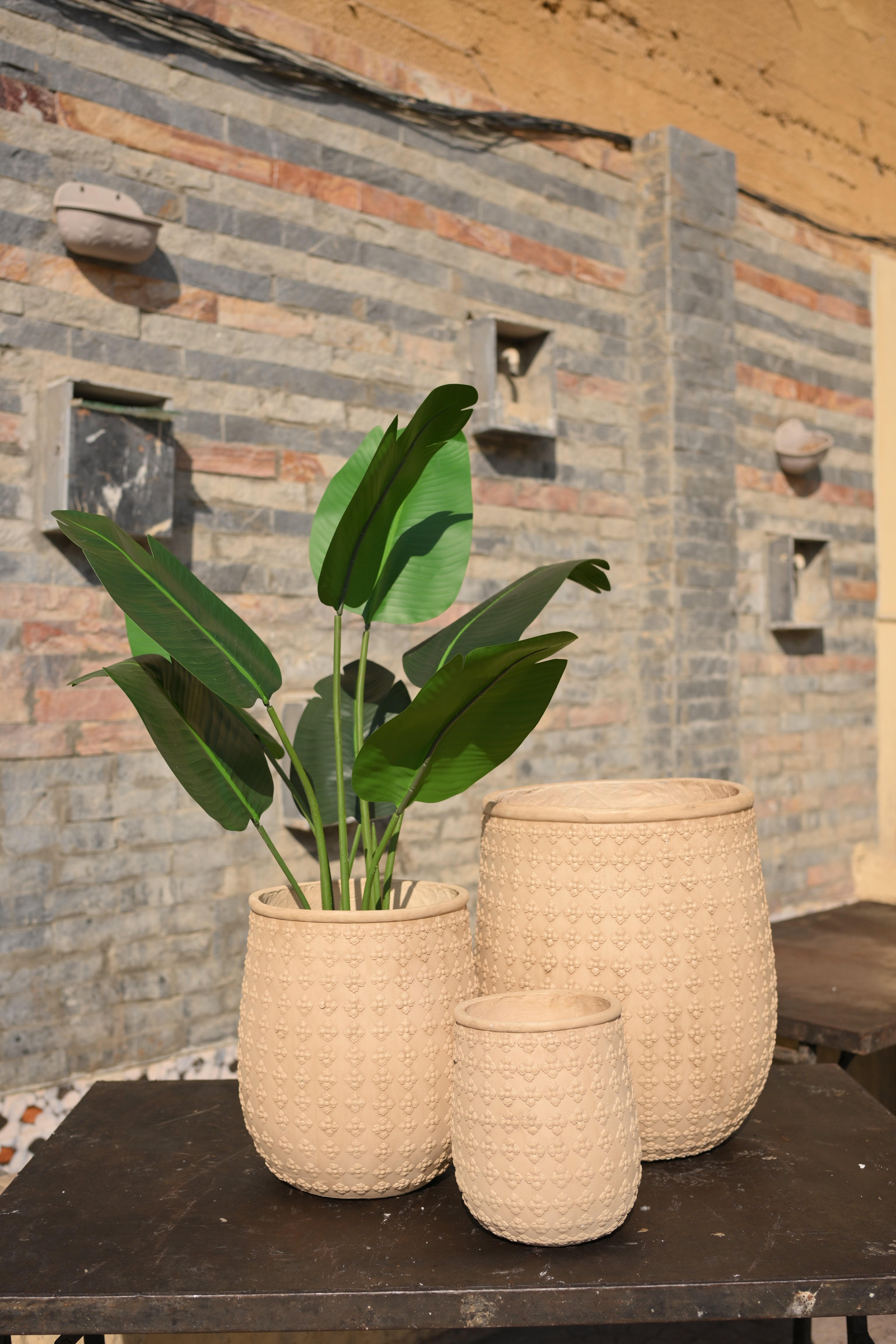 Luxury Imported Ceramic Planter for Home & Office Plants