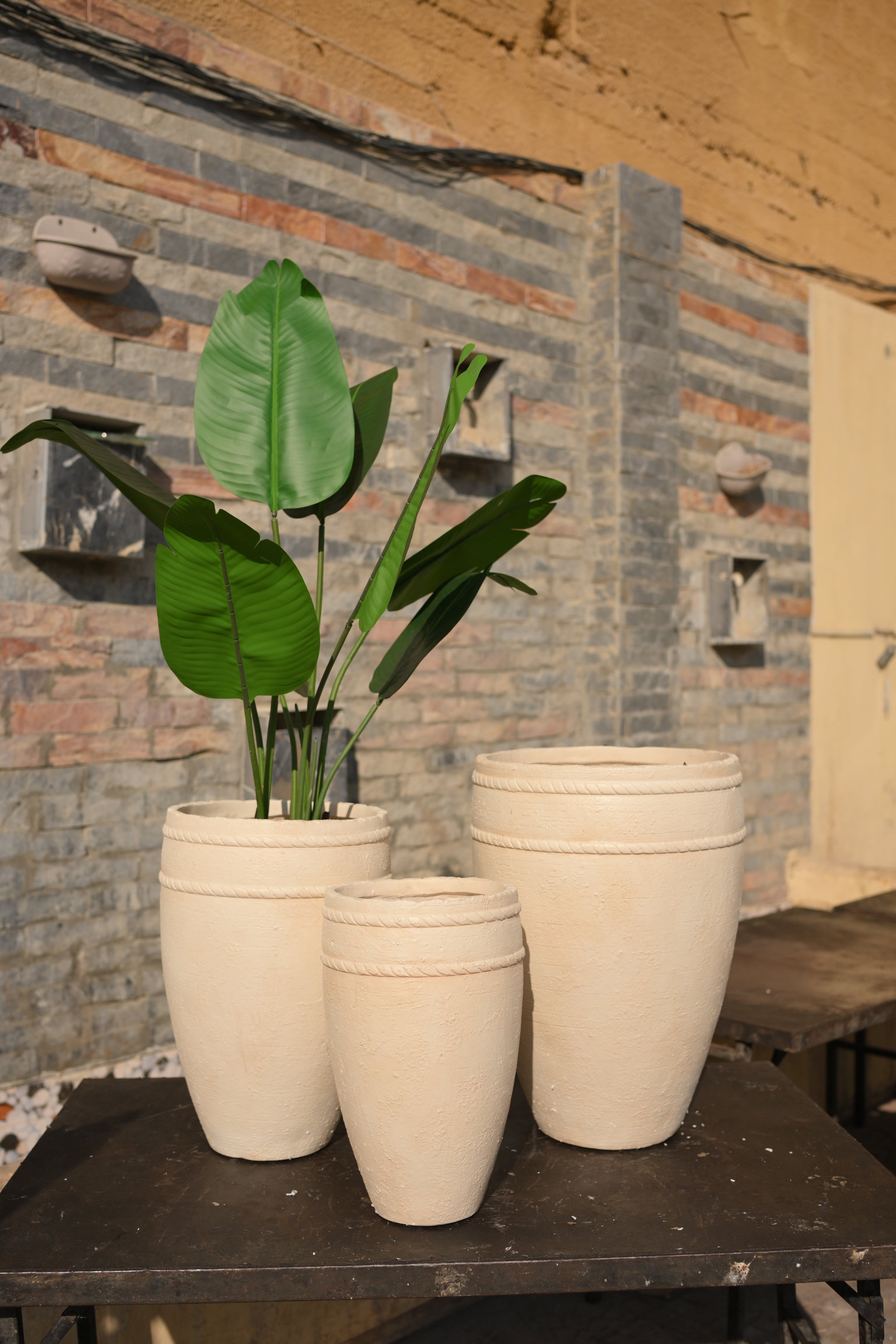 Premium Imported Ceramic Planter – Modern Home & Office Decor