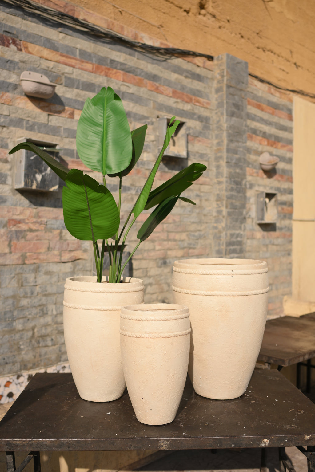 Premium Imported Ceramic Planter – Modern Home & Office Decor