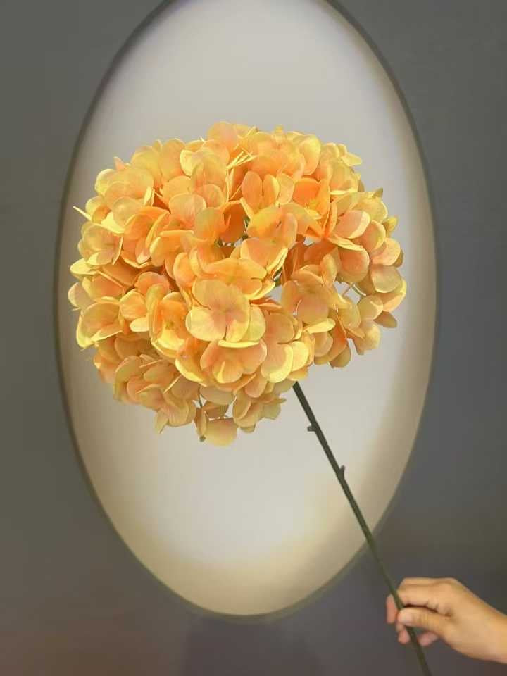 imported hydrengia stick