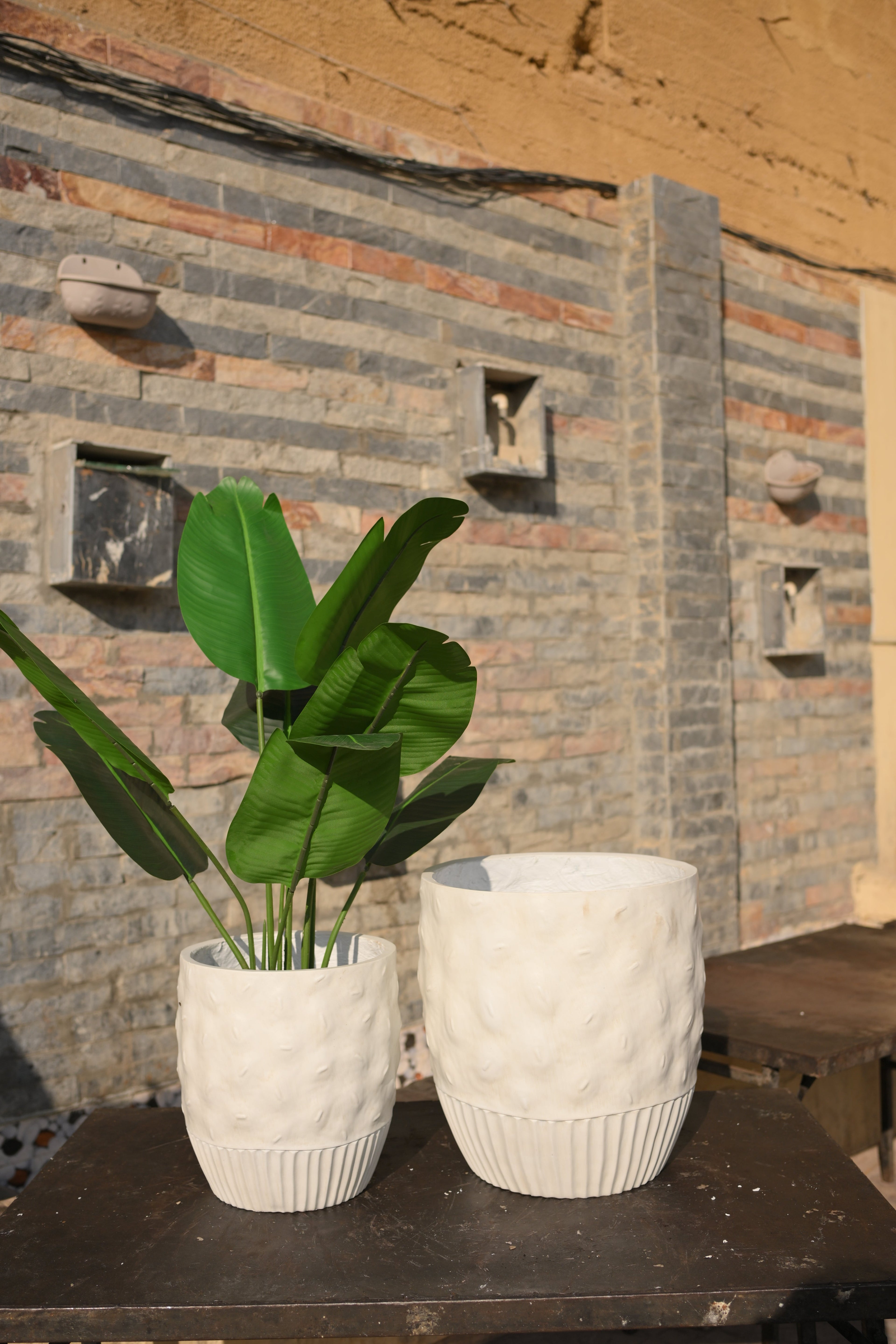 Imported Ceramic Planter for Home & Office | Modern Ceramic Pot