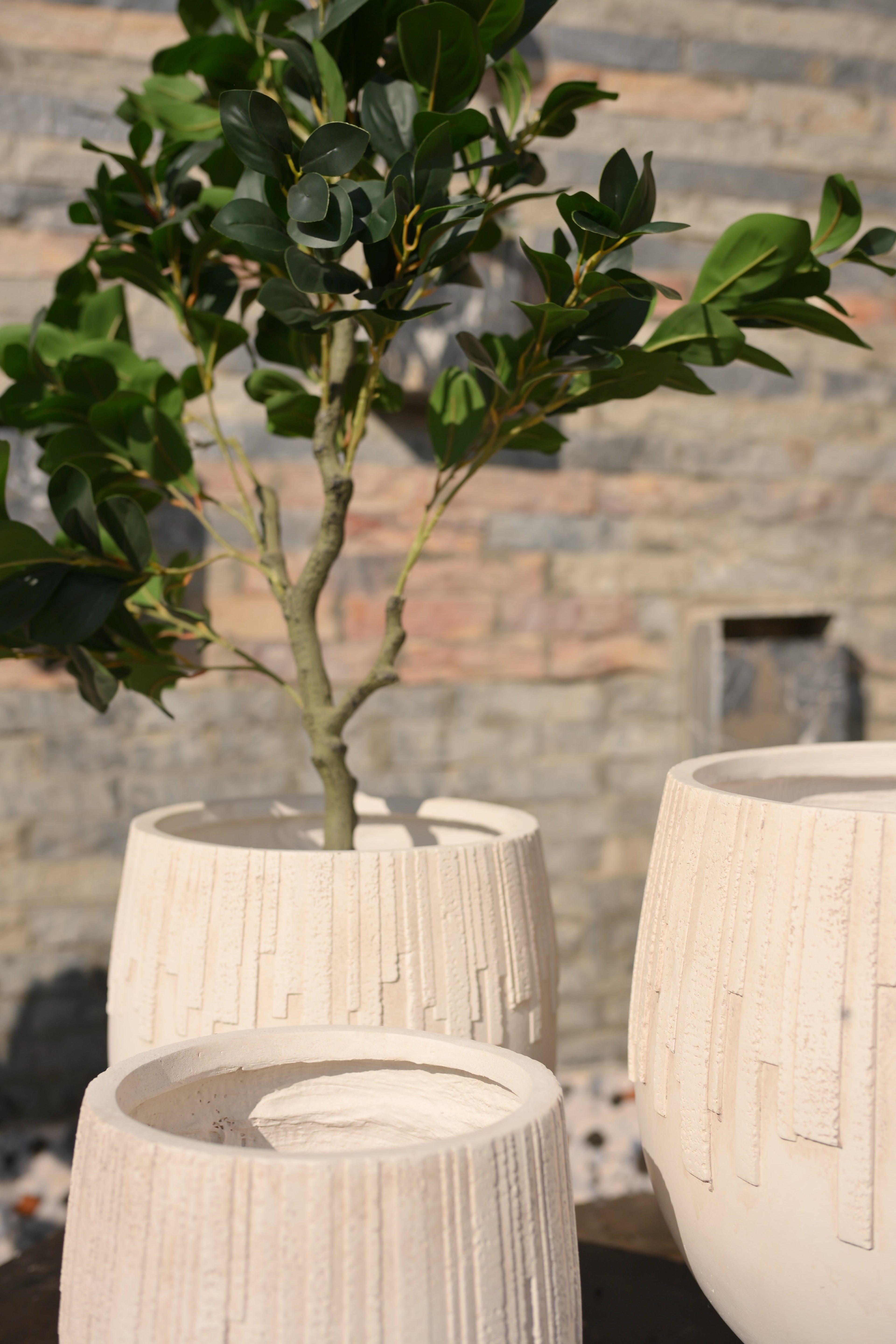 Premium Imported Ceramic Planter – Modern Home & Office Decor