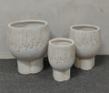 Imported Planters 