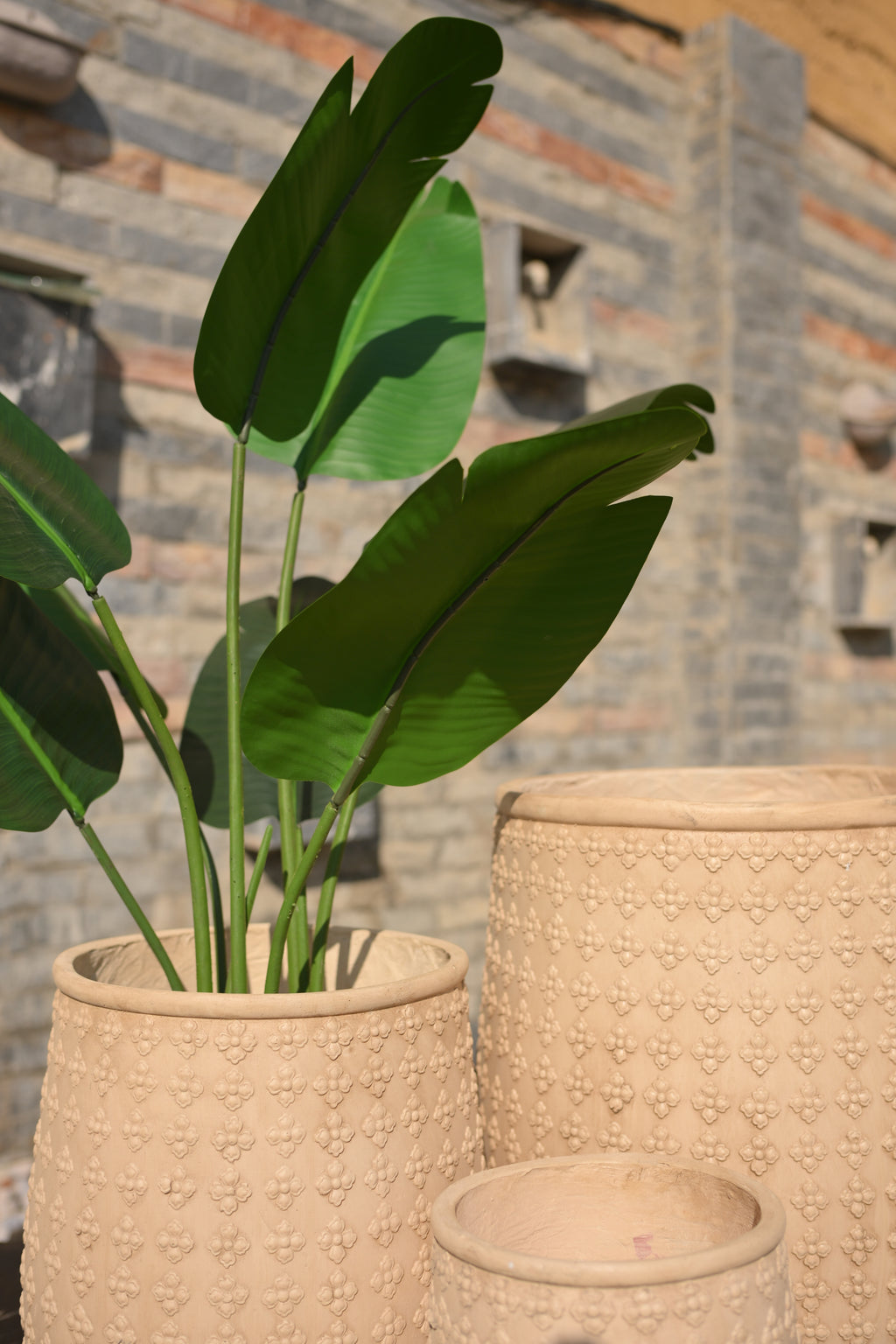 Luxury Imported Ceramic Planter for Home & Office Plants