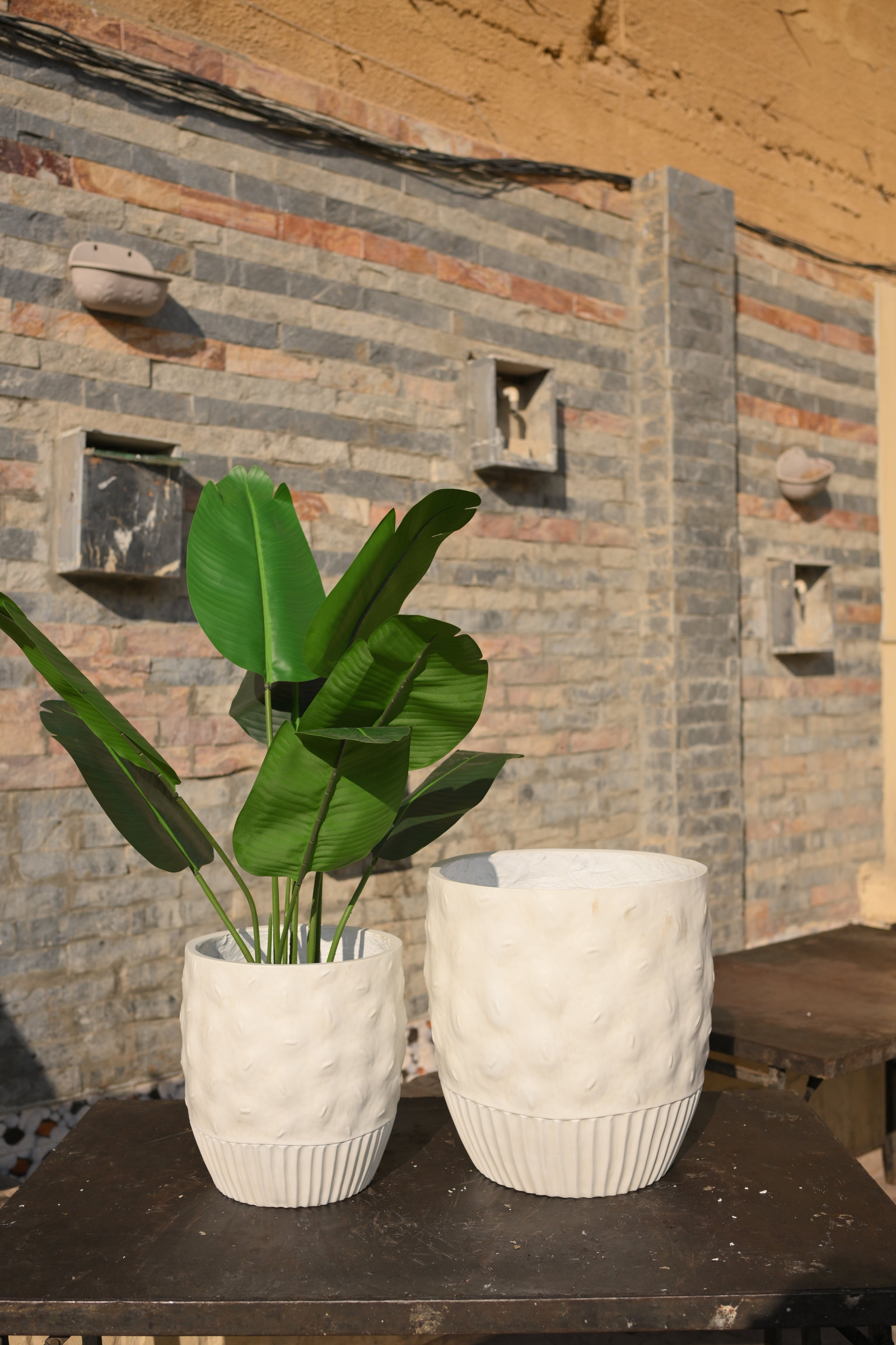 Imported Ceramic Planter for Home & Office | Modern Ceramic Pot