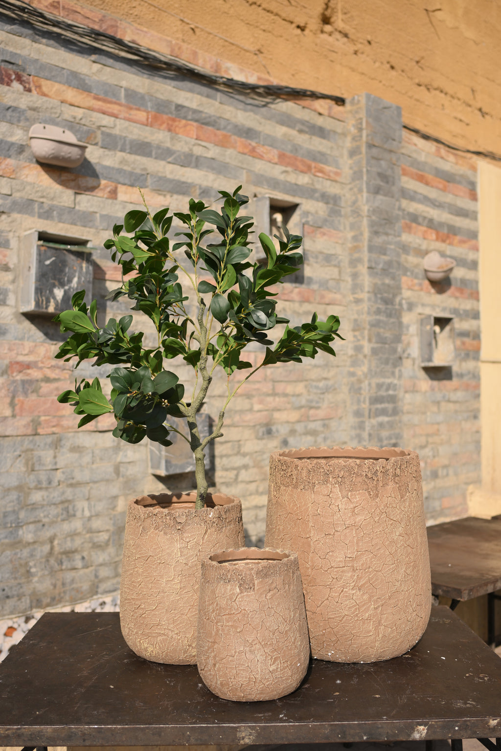 Imported Ceramic Planter for Indoor Plants | Premium Home Decor