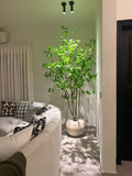 Luxury Maple Corner Tree with Ivory Vase