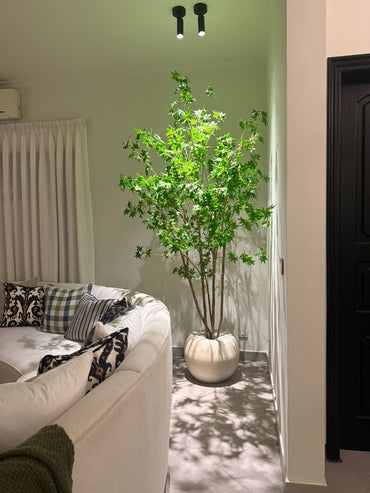 Luxury Maple Corner Tree with Ivory Vase