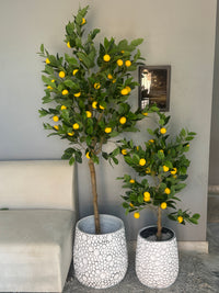 Premium Faux Lemon Tree or Textured Bubble Pot