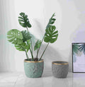Contemporary Ceramic Planter – Medium & Large