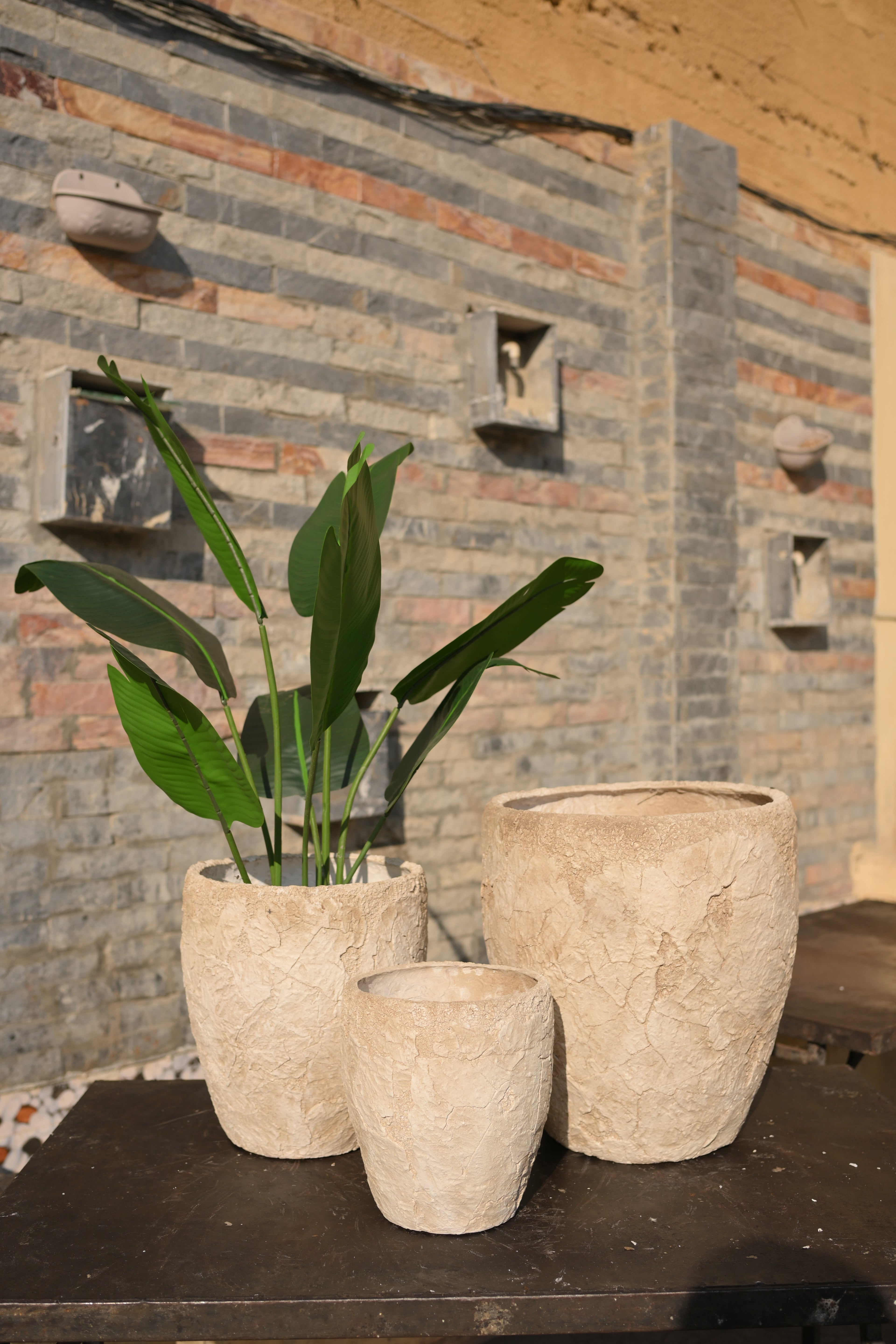 Luxury Imported Ceramic Planter | Decorative Ceramic Pot