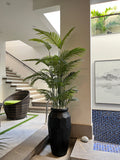 Areca Palm With Ceramic Pot