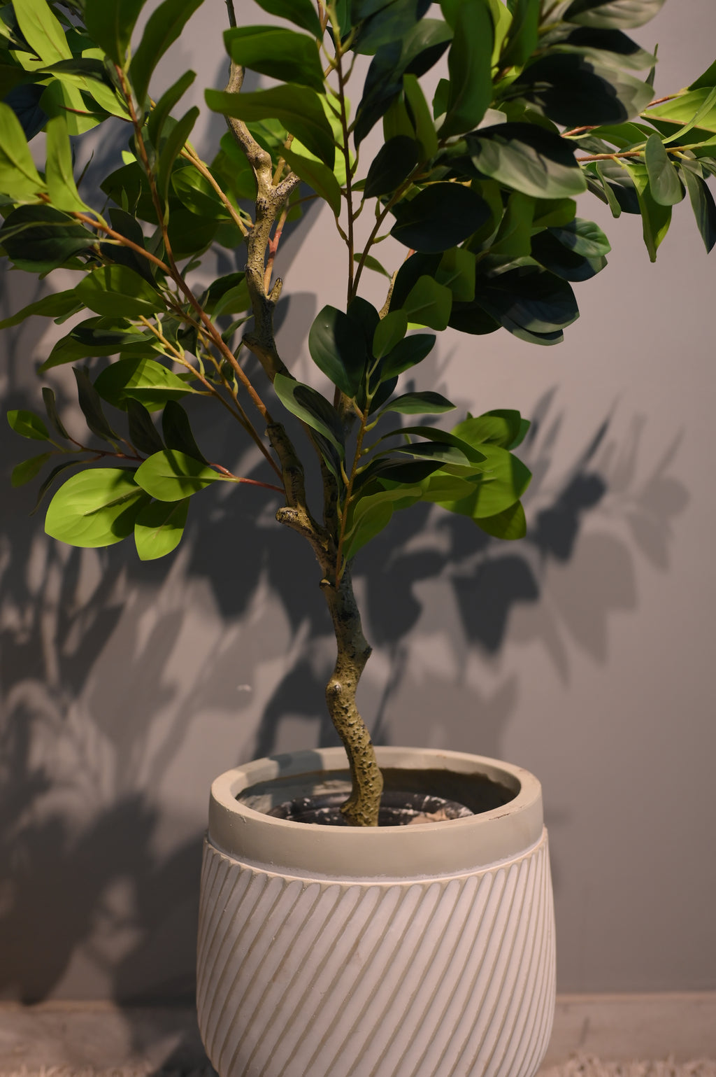 Artificial Ficus Plant (4.5ft) without Standed Planter