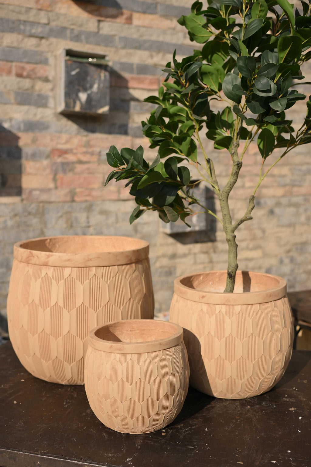 Imported Ceramic Planter for Home & Office | Modern Ceramic Pot
