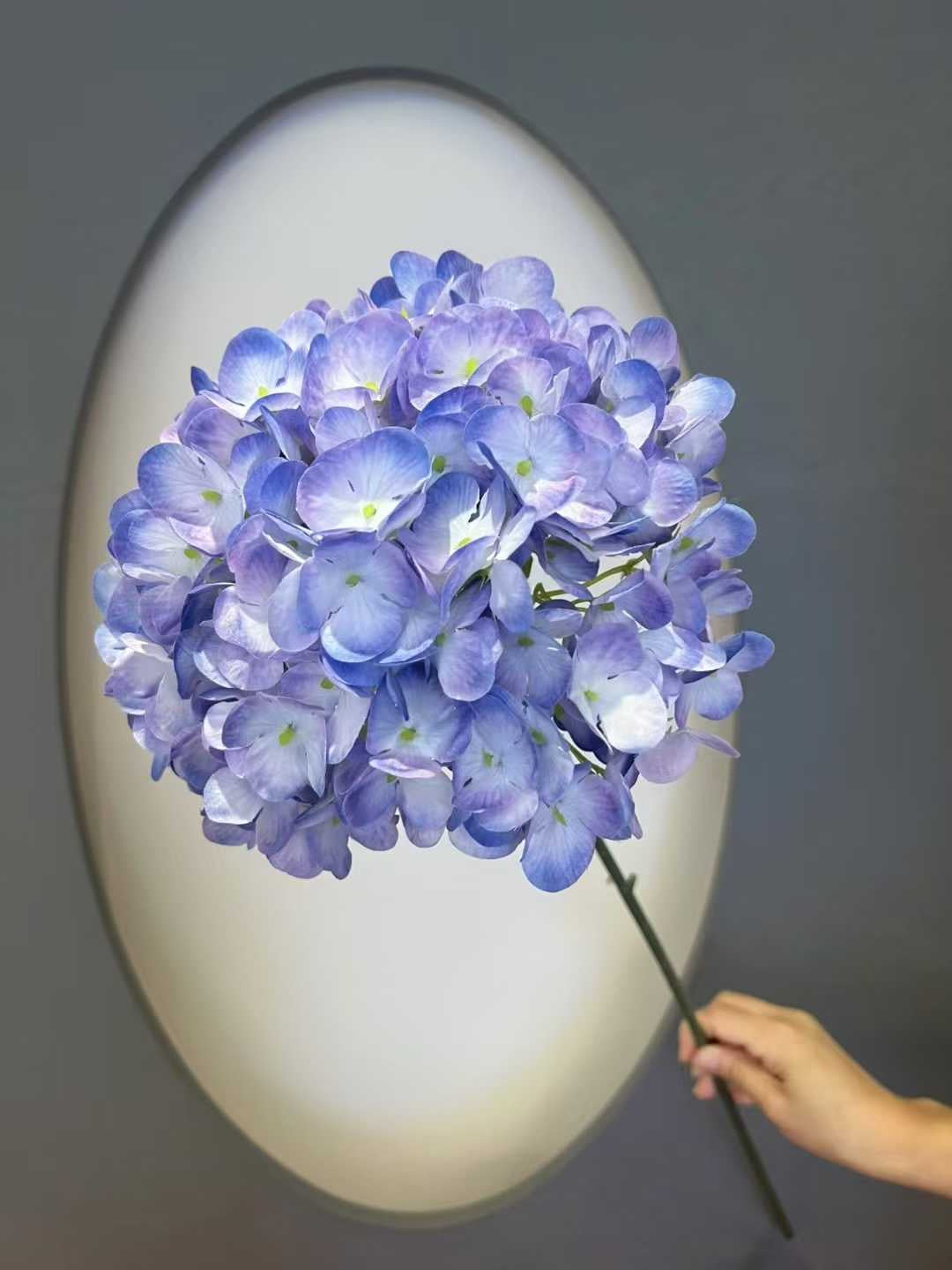 imported flower blue