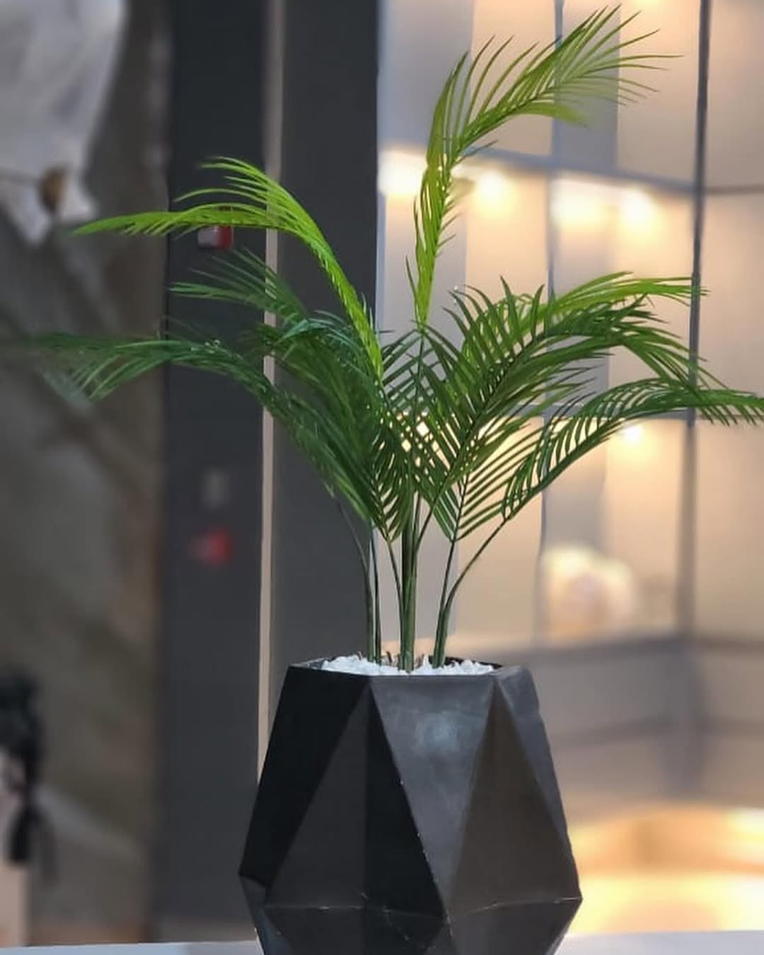 Artificial Palm Tree for Indoor Decoration