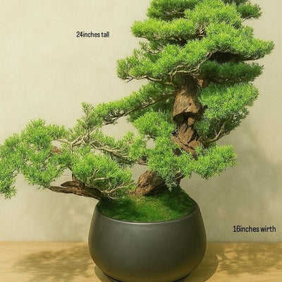 Large Artificial Juniper Bonsai Tree in Matte Black Ceramic Pot