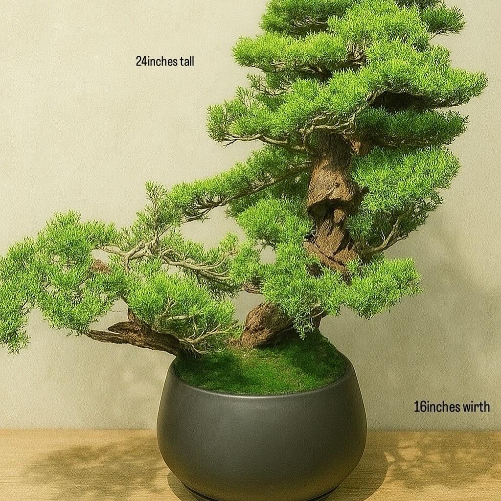 Premium Bonsai Tree – 24 Inch Tall | Decorative Indoor Plant for Home & Office