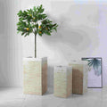 Imported Planters 
