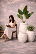 High Quality Imported Ceramic Planter | Stylish Indoor Pot