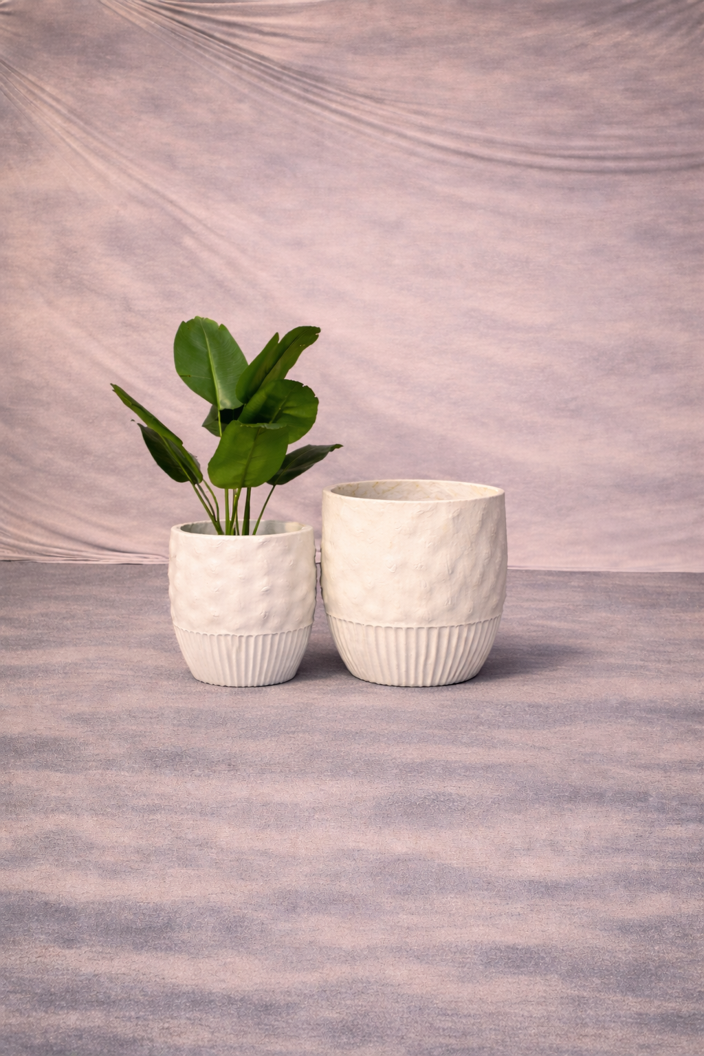 Imported Ceramic Planter for Home & Office | Modern Ceramic Pot