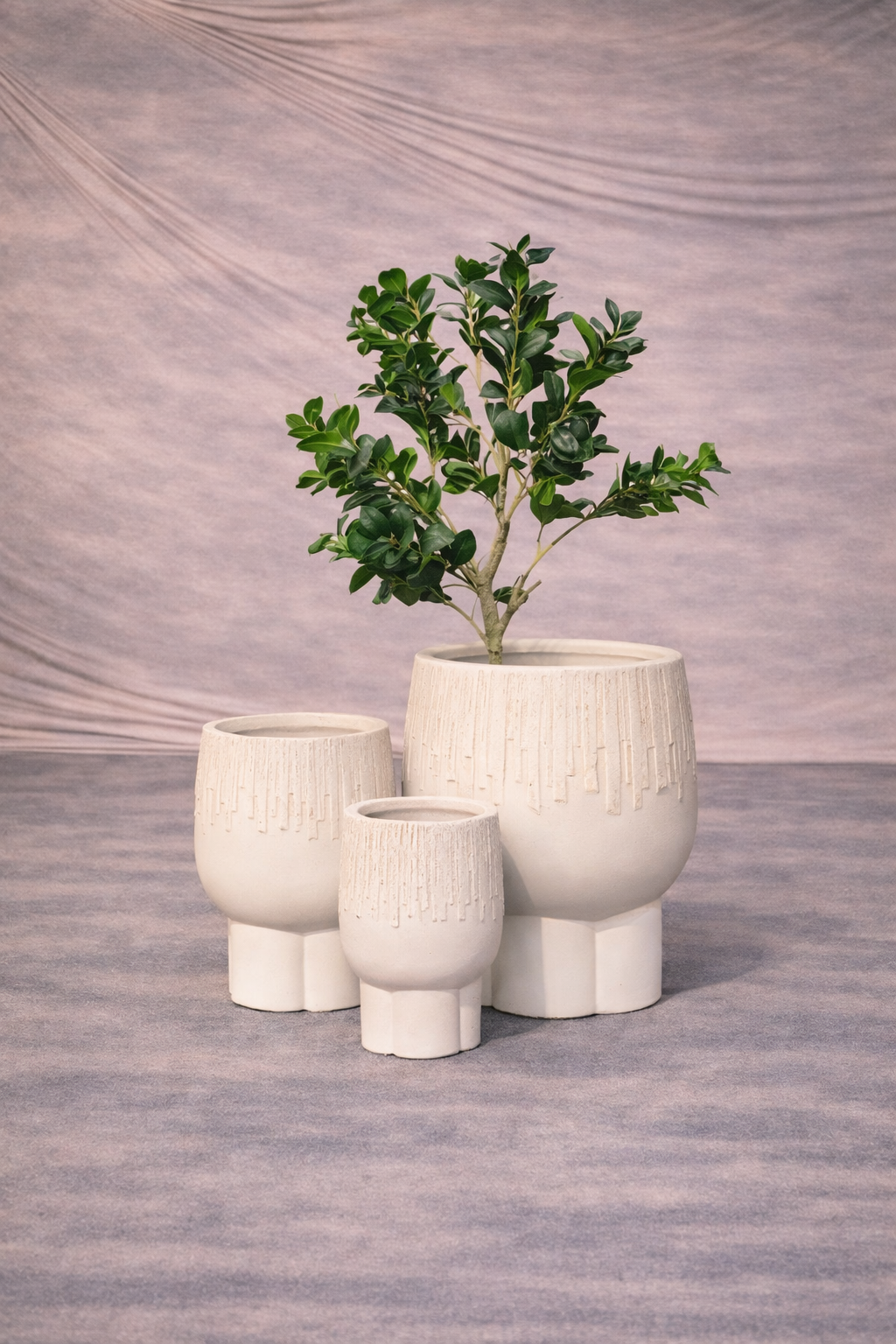 Premium Imported Ceramic Planter – Modern Home & Office Decor