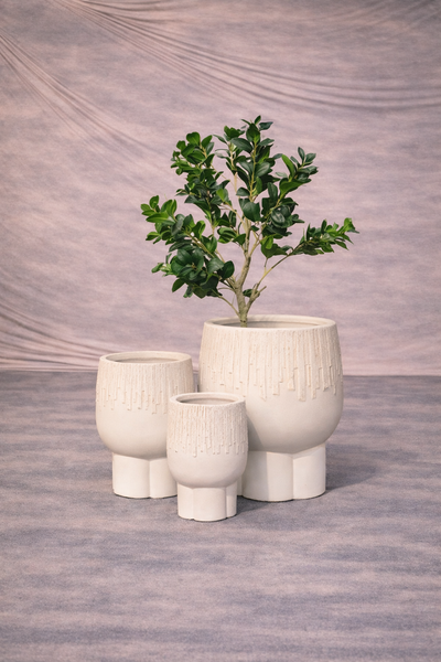 Premium Imported Ceramic Planter – Modern Home & Office Decor
