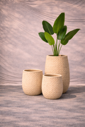 Luxury Imported Ceramic Planter for Home & Office Plants