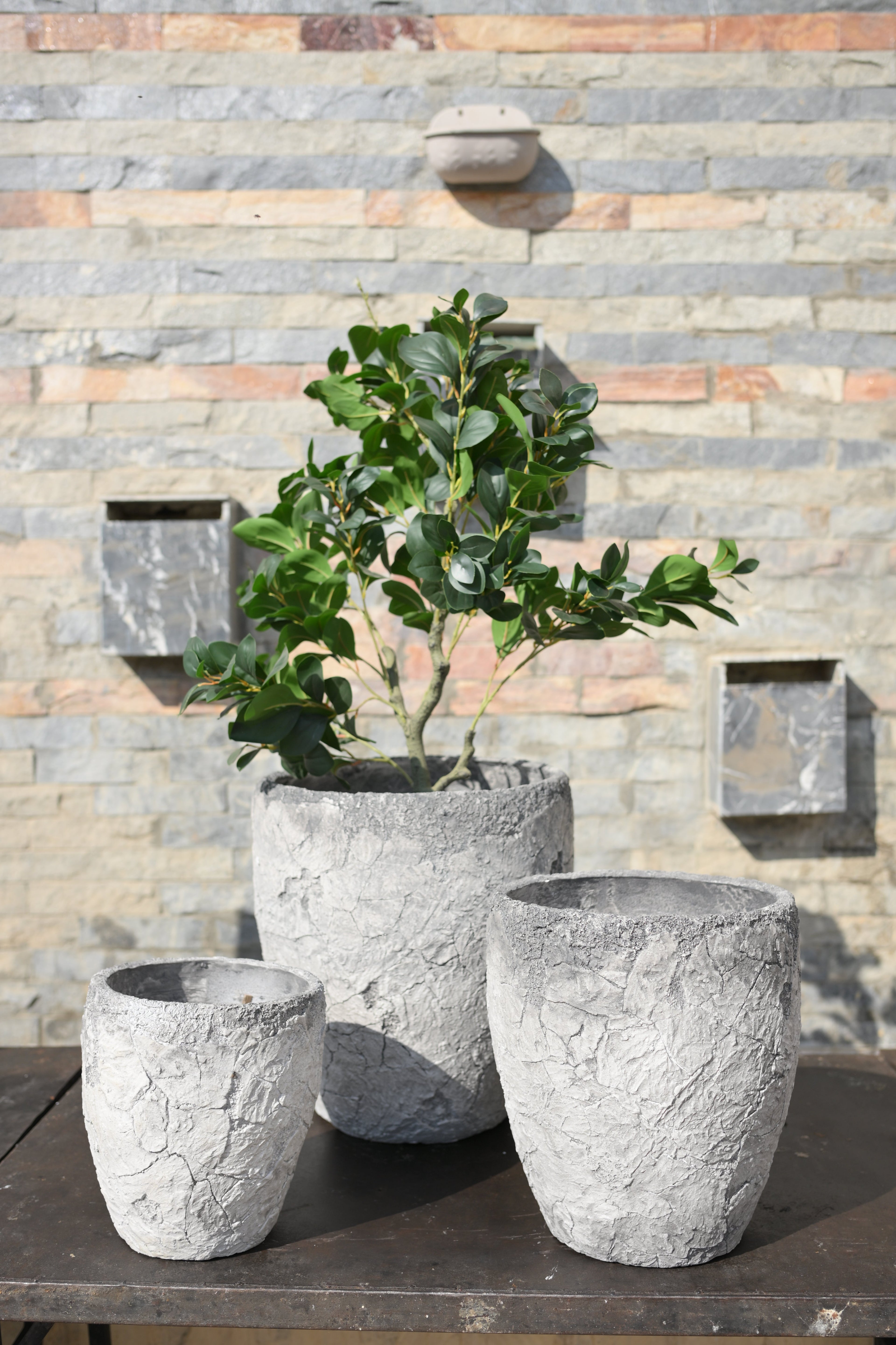 Imported Ceramic Planter Gray– Premium Gloss Finish | Modern Home & Office Decor