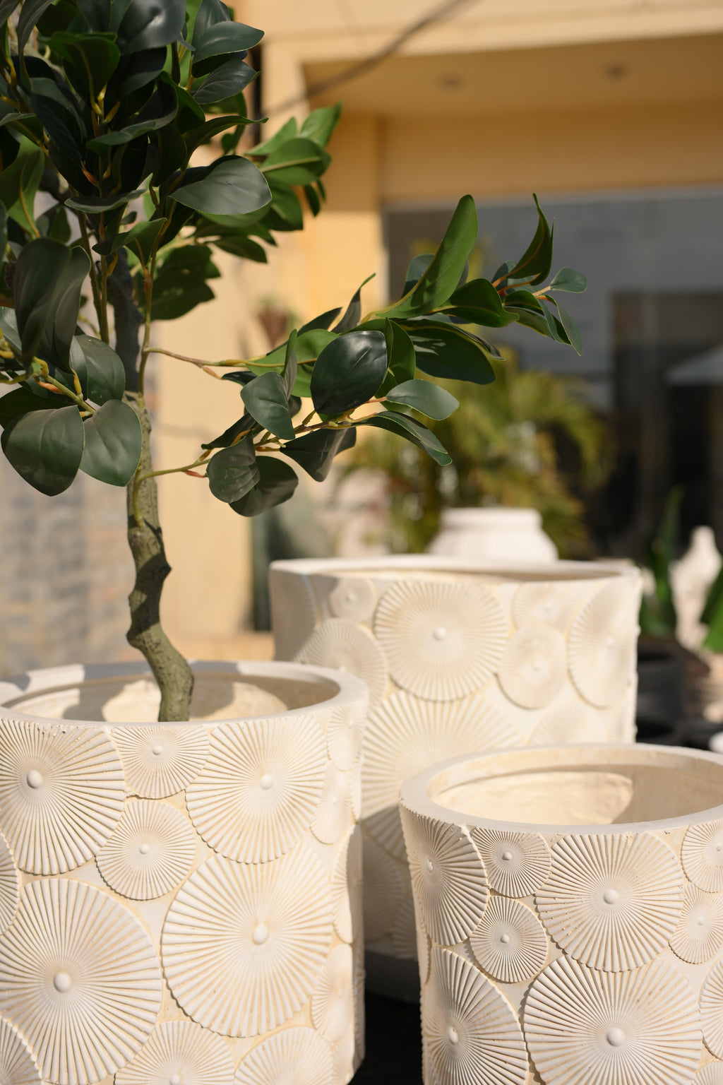 Imported Ceramic flower design Plant Pot | Minimalist Home & Office Decor