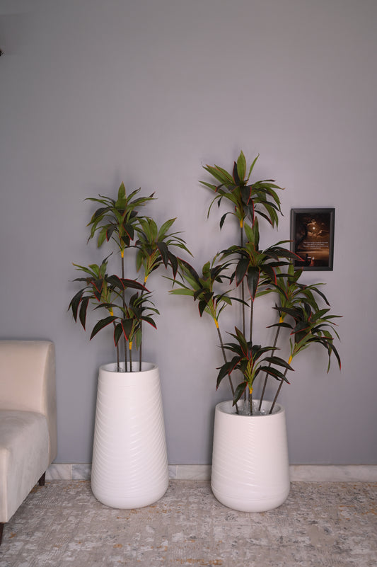 Pvc planter with red blood tree