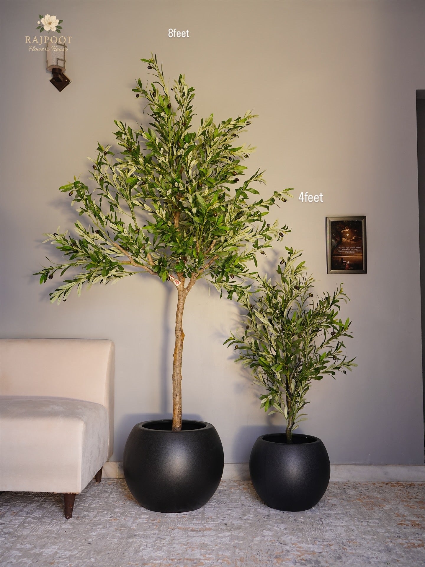 Olive tree with ball