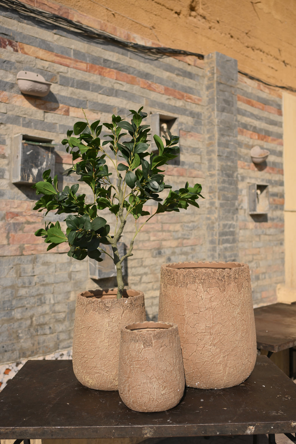 Imported Ceramic Planter for Indoor Plants | Premium Home Decor