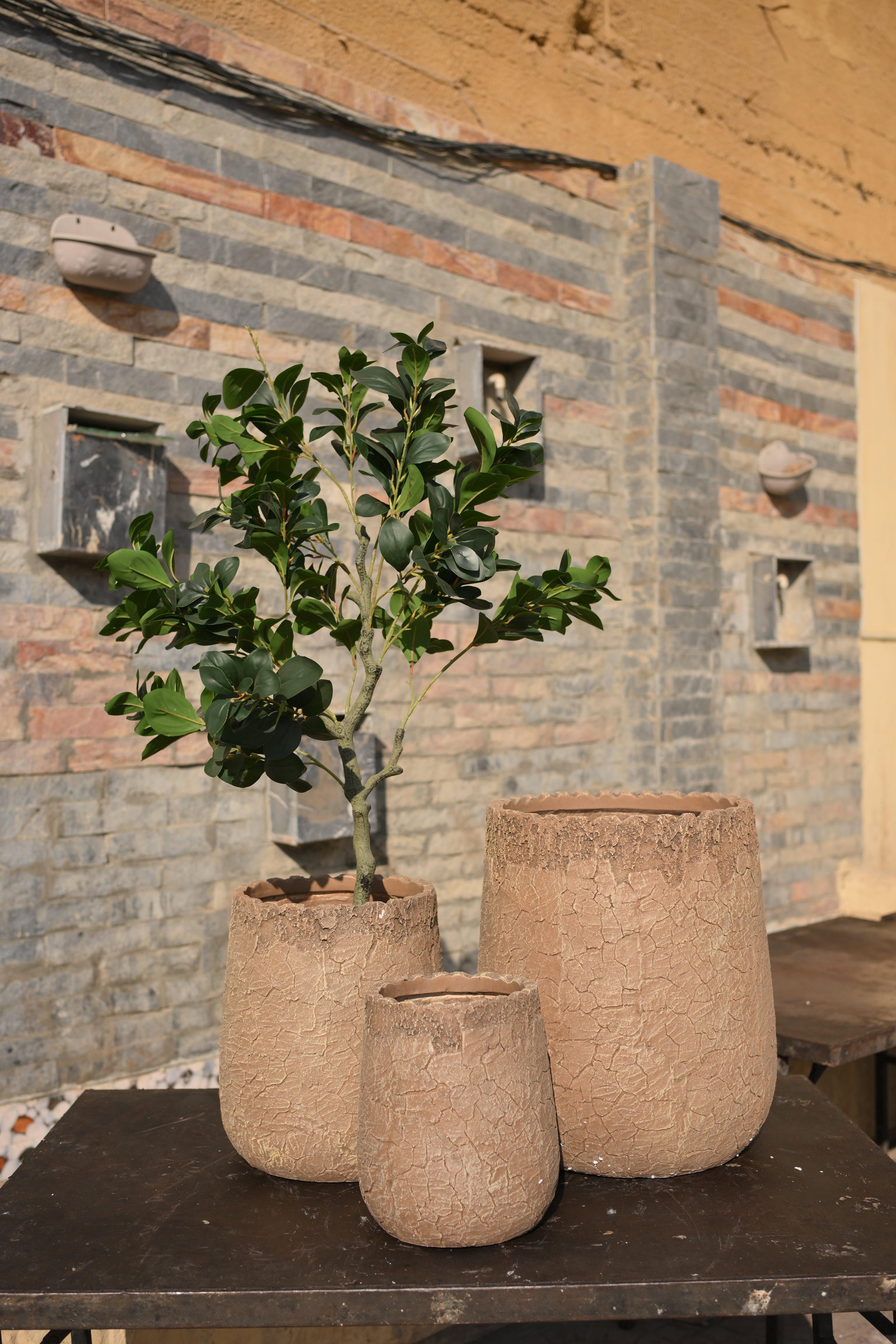 Imported Ceramic Planter for Indoor Plants | Premium Home Decor