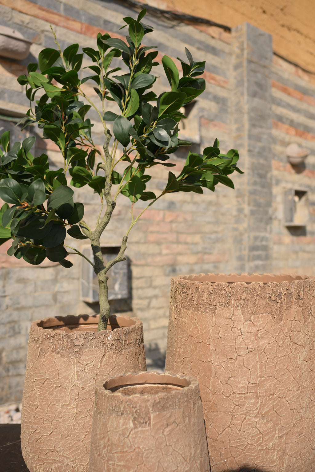 Imported Ceramic Planter for Indoor Plants | Premium Home Decor