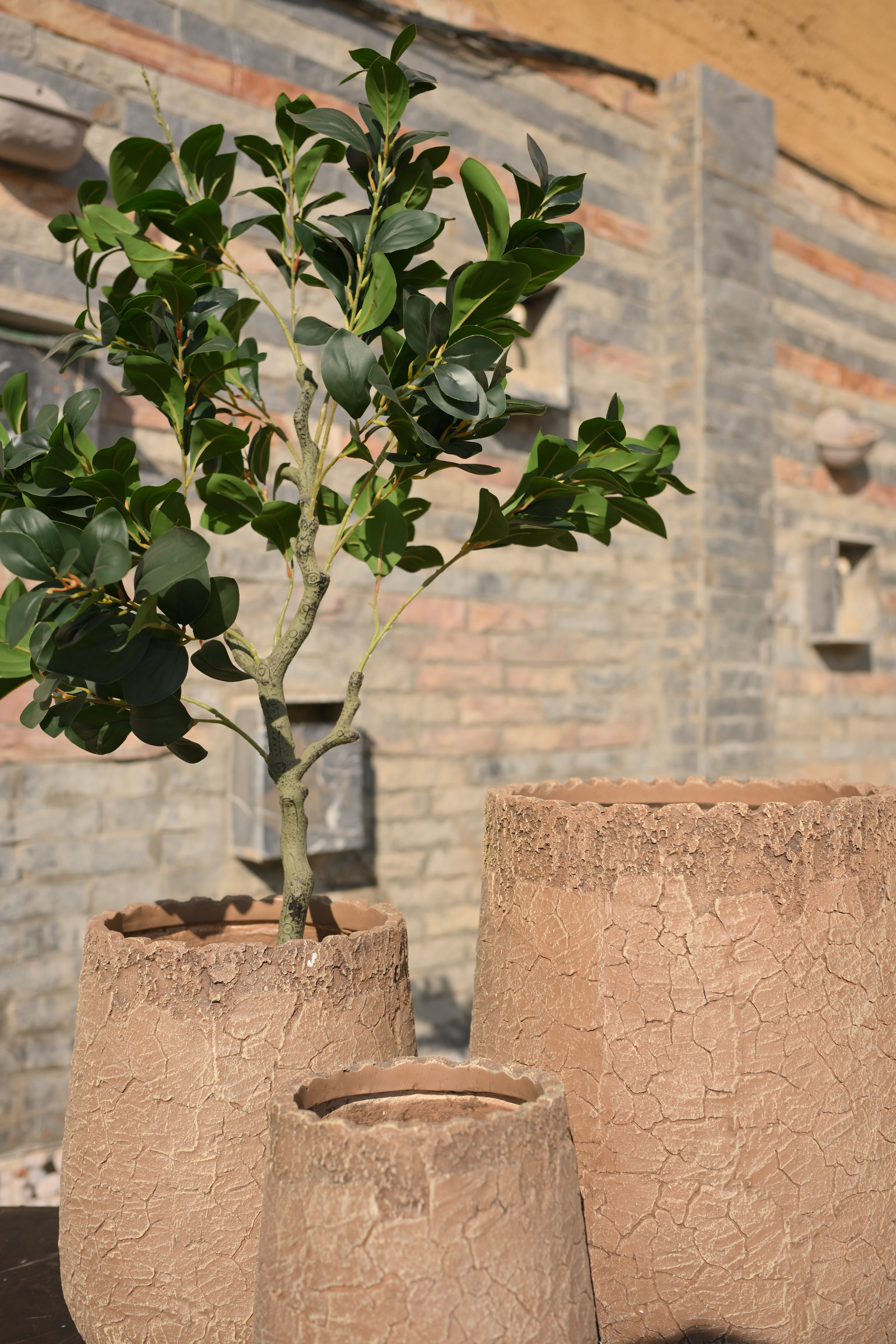 Imported Ceramic Planter for Indoor Plants | Premium Home Decor