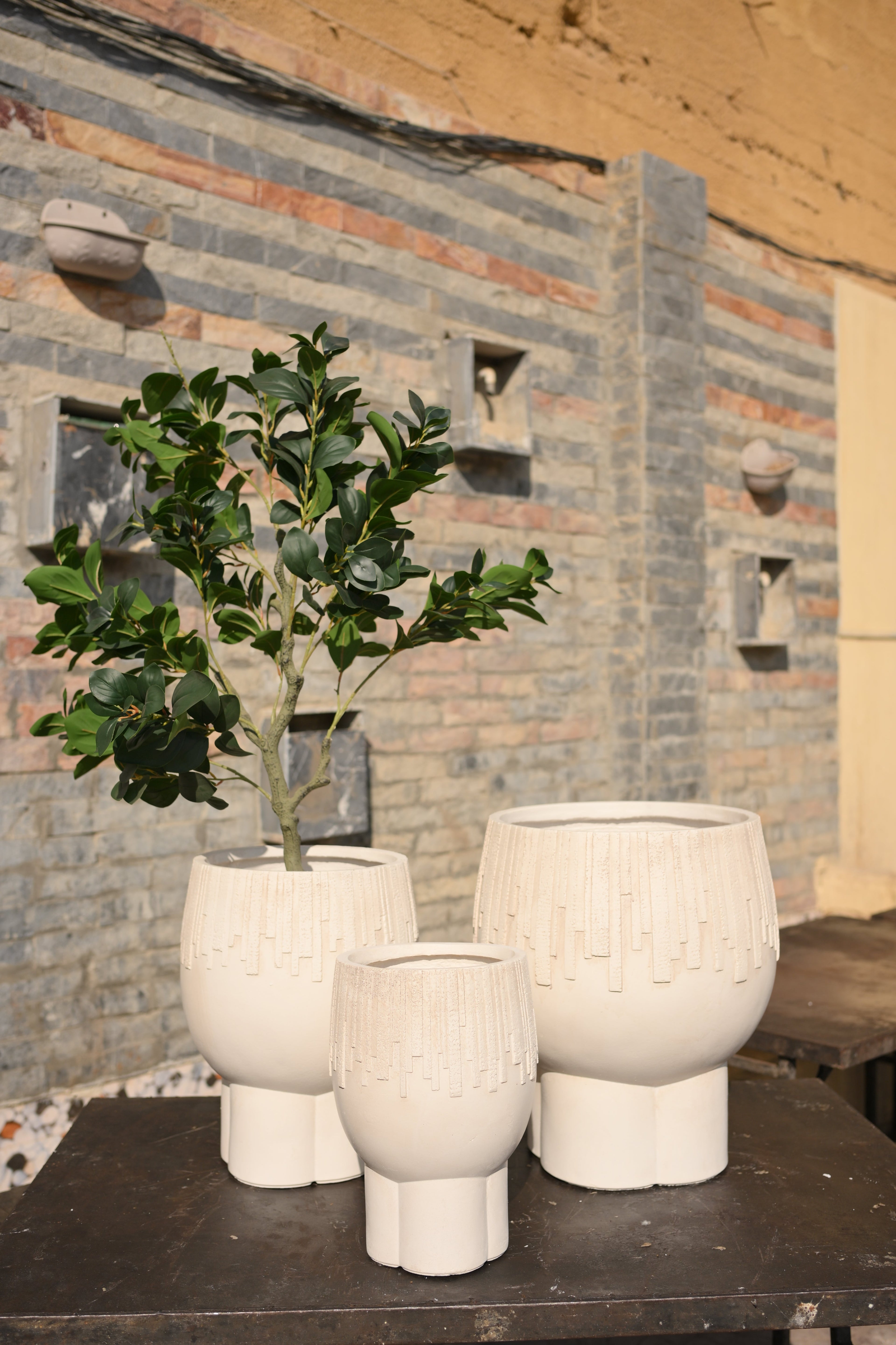 Premium Imported Ceramic Planter – Modern Home & Office Decor