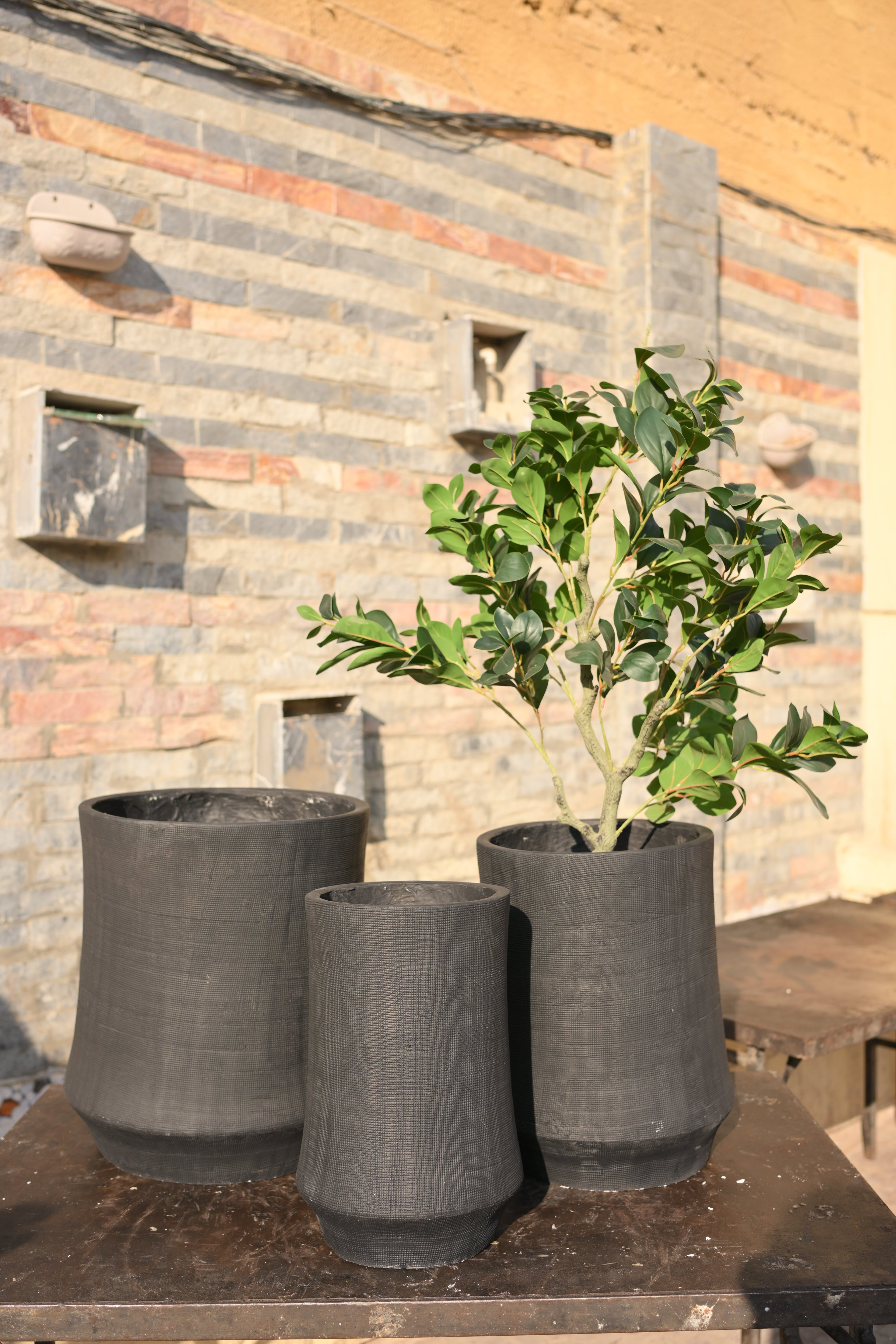 Designer Imported Ceramic Planter for Premium Home Decor