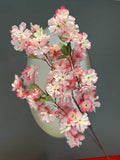 "Premium Pink Cherry Blossom Stems | Realistic Silk Artificial Floral Accents"