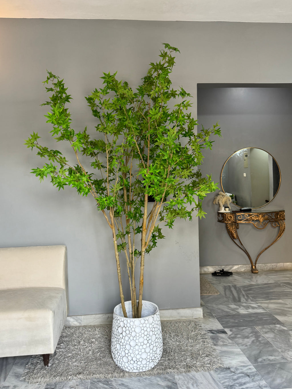 Luxury Maple Corner Tree with Ivory Decorative Vase