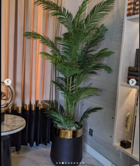 Palm with gold strip Pot