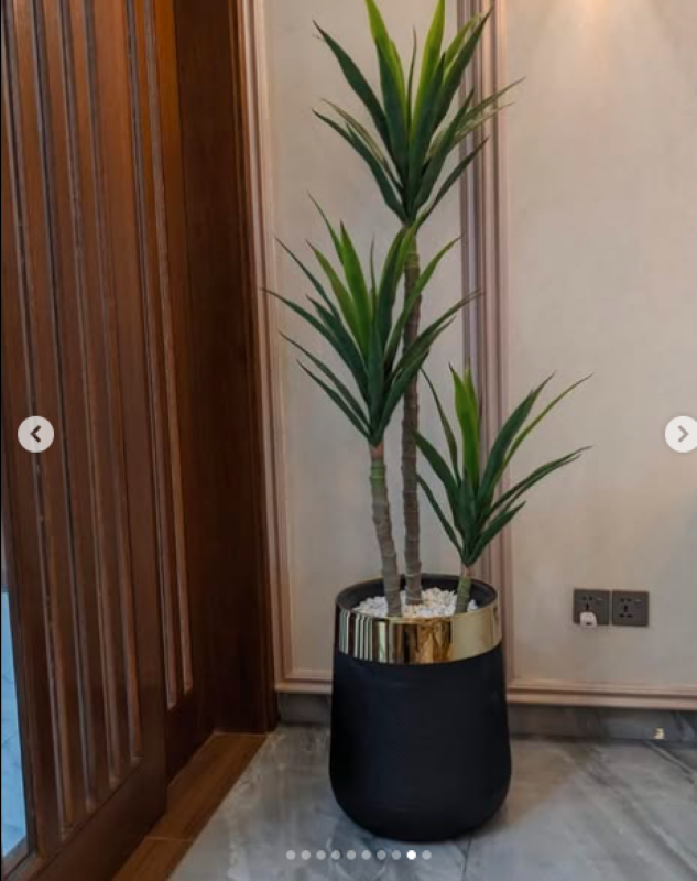 Artificial/ Faux Plant for Indoor Decoration