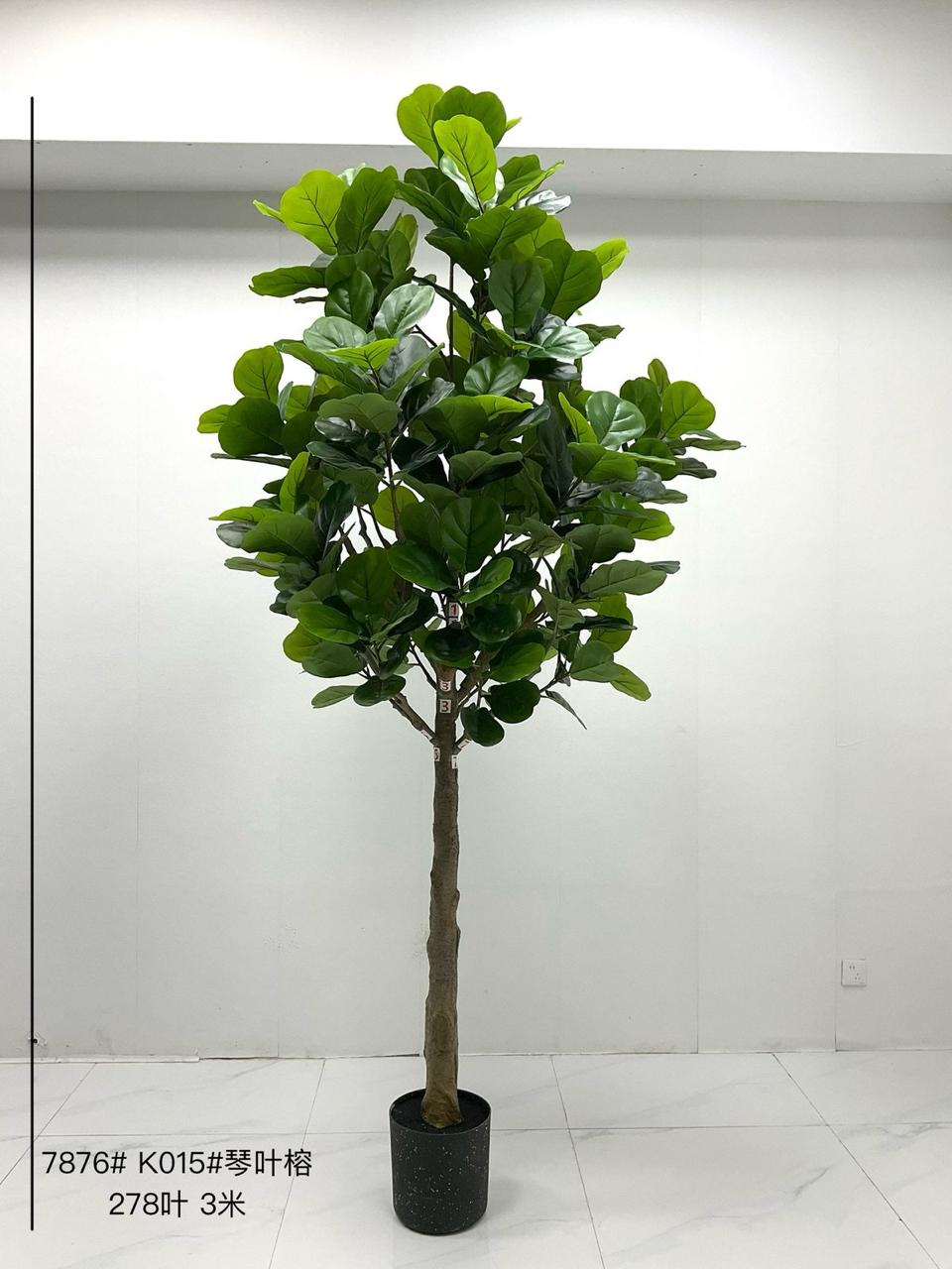 Fiddle leaf fig tree