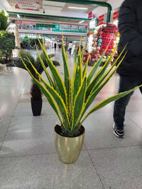 Artificial Agave Succulent Plant in Tiered Black Pot