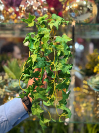 Artificial Plant - Hanging IVY Leaf